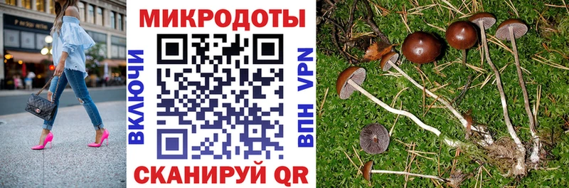 Галлюциногенные грибы прущие грибы  купить наркоту  Кандалакша 
